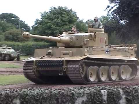 tiger tiger