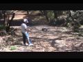 , Wild Beast.wmv