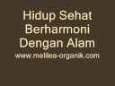 penyembuhan alternatif