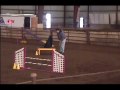 Logan Mt Hood Dobe AKC Nov09.wmv