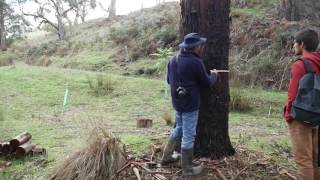 The Australian Master Tree Grower