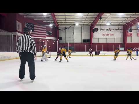 November 18, 2024 - 83 SOG; .867 SV%