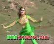 Wild-Pashtun-Shemale