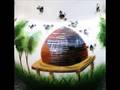 The mystery of the disappearing bees