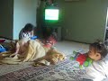 TONGAN BABY OFA LAVAKA TONGAN BABY OFA LAVAKA