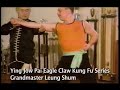 MONTAGE - YING JOW PAI EAGLE CLAW KUNG FU MONTAGE - YING JOW PAI EAGLE CLAW KUNG FU
