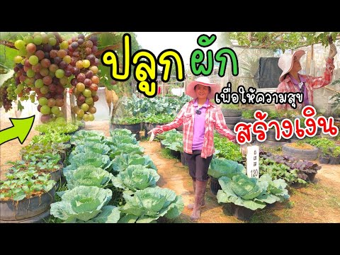 ปลูกผักสวนครัว | เพื่อให้ความสุข | สร้างเงิน กับพี่เกสร