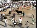 bucking bulls/ bull riding   nicaragua  juigalpa chontales 