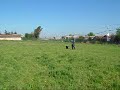 Elthon de Moe�s