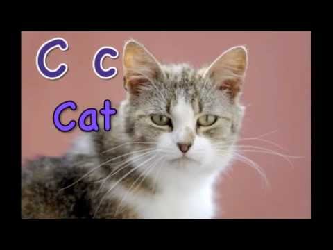 ABC Phonetic Song for Young Children