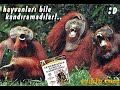 Kral Hatırlatmasıı (www.yuksekdoz.com)