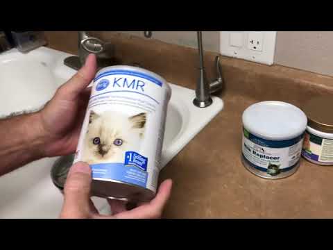 Bottle feed a kitten mixing formula