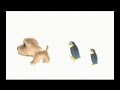 DOG ISLAND Music Video Wii Cute English Nintendo Nintendogs