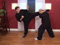 Kung Fu Blocking Tips : Kung Fu Blocking: Round Kick