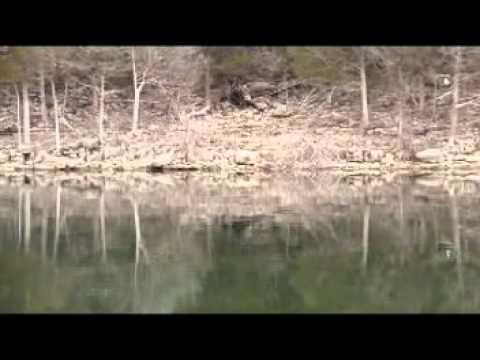 Alabama rig Fishing on Table Rock Lake
