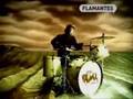 FOO-FIGHTERS-VENTISC