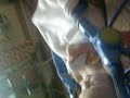 Kayden Ellis .mp4