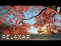 videos de video natureza_kenio_fuke.mpg
