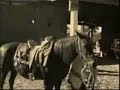 El Pipila (Episodio I de II)