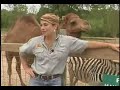 Tigers for Tomorrow - Dekalb County - Explore my Alabama