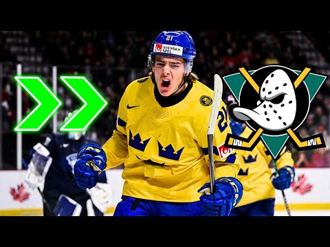 Leo Carlsson Highlights | Welcome to the Anaheim Ducks