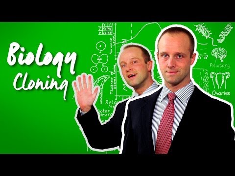 how to get s'in step exam