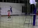 volei volei