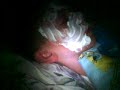 Shaving Cream prank..