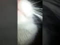 20150703 042752
