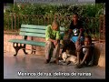 Muros e Grades