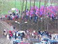 Kibice Polonia Bytom - G�rnik Zabrze