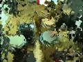 percussion solo. Carlos Ramos Diaz