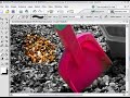 Photoshop  (Color Popping)