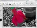 videos de Photoshop  (Color Popping)