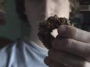 Girl Scout Cookies Girl Scout Cookies