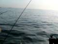 fishing 01-06-09 002 fishing 01-06-09 002