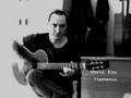 Flamenco improvisation of Marco Esu - 2008