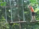 wildplay-treego2