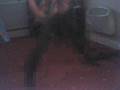 Allenz rave dance