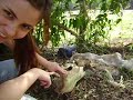A BIÓLOGA SELVAGEM 2 A BIÓLOGA SELVAGEM 2