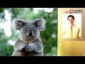 Click here to watch this video 達人帶路‧體驗旅遊新態度