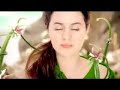 seal-amazing-thin-white-duke-edit.html