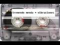 tremendo menda - vibraciones
