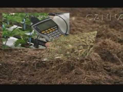 CANNA COCO - Welcome to the next ...