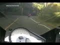 Motociclista atropella a un animal en plena carrera