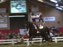 de wittegheit 2 in maren-kessel, 2008