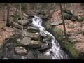 Chesterfield Gorge