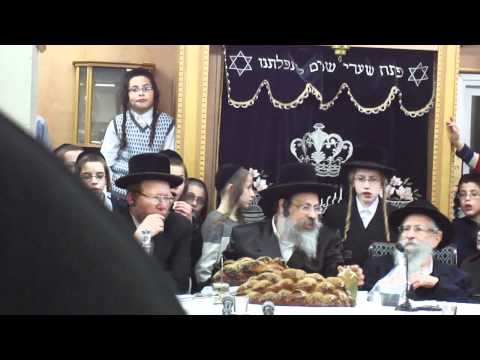Happy new year of trees - Tolna Rebbe