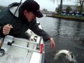snoekvissen met de Savagegear ratlle shad.
www.hengelsport2000.com