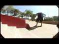 In Bloom - TransWorld SKATEboarding - Trainwreck Alex Gall